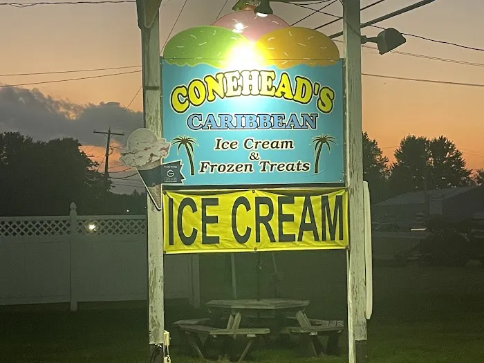 CONEHEADS CARIBBEAN ICE CREAM Picture 6