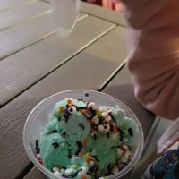 North Shore Country Market & Cones ico
