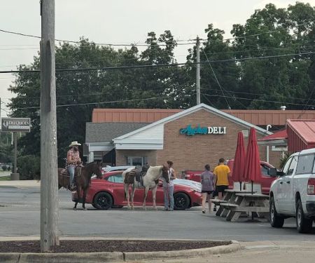 The Custard Stand
