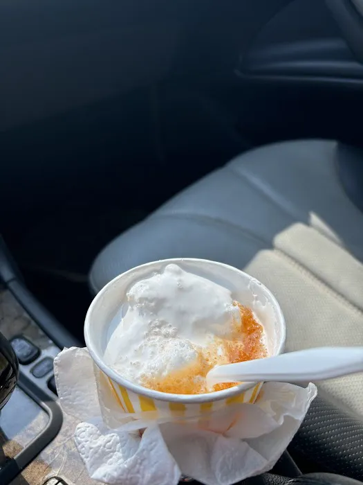 Sun Valley Snowballs, Inc. Picture 2
