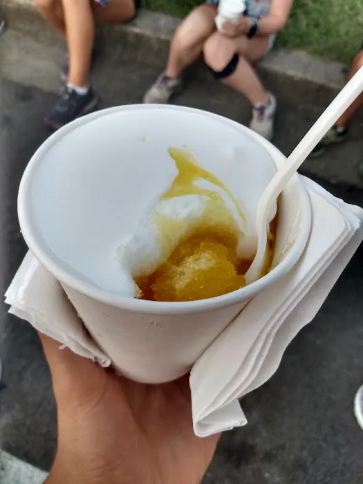 Sun Valley Snowballs, Inc. Picture 4