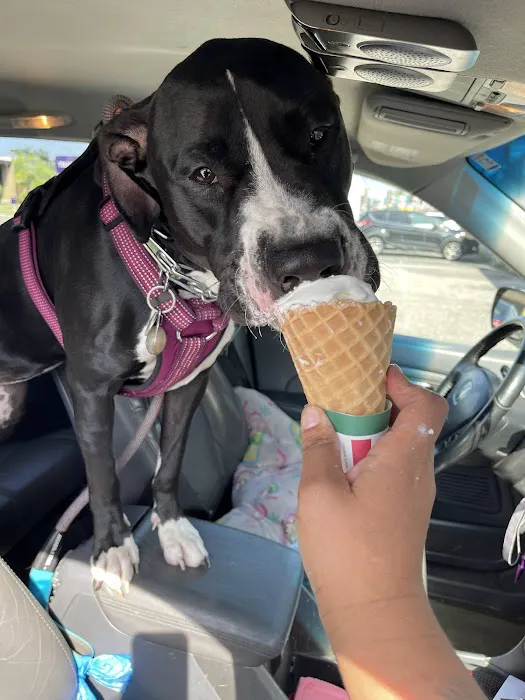 Rita's Italian Ice & Frozen Custard Picture 9