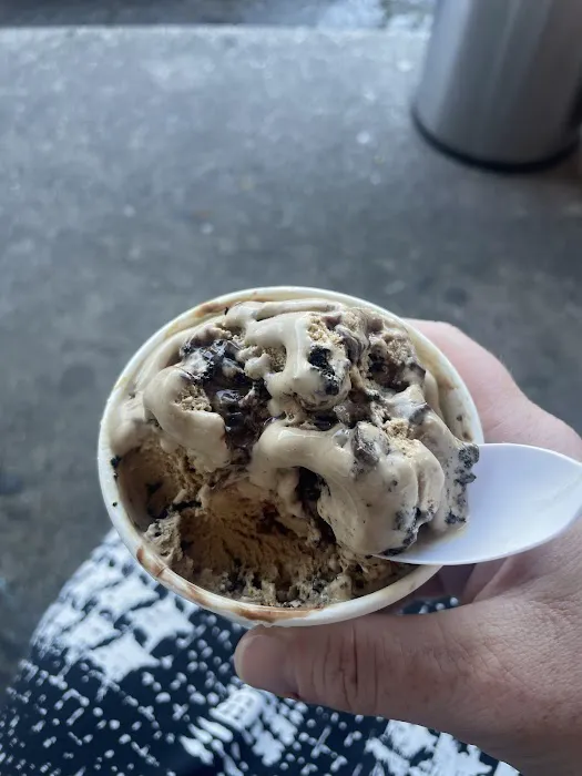 Daily Scoop Picture 1