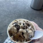 Daily Scoop