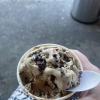 Daily Scoop ico