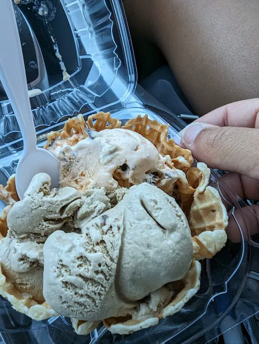 Daily Scoop Picture 8