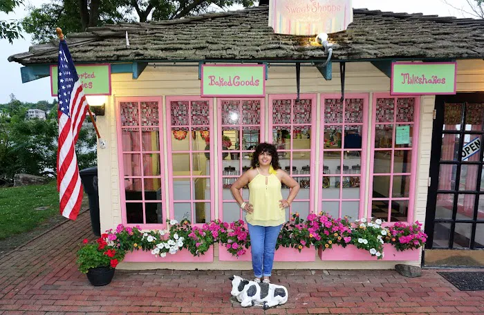 Canal Creamery and Sweet Shoppe Picture 7