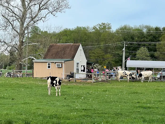 Somerset Farm Picture 3