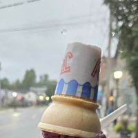 ice cream shop ico