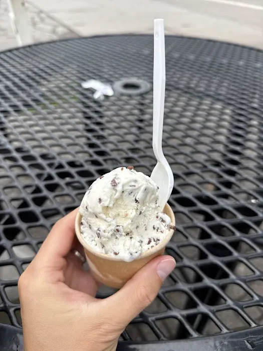 ice cream shop Picture 4