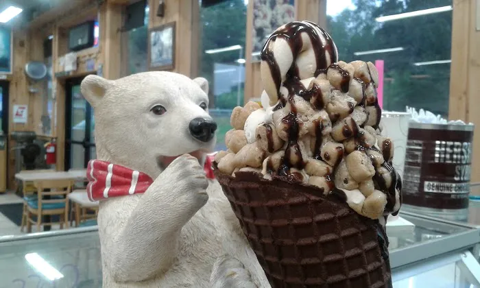 Polar Bear Homemade Ice Cream & More Picture 7