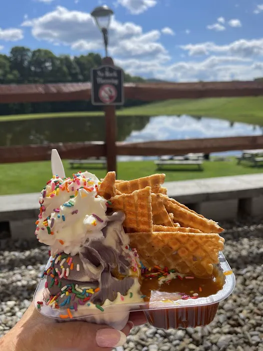 Polar Bear Homemade Ice Cream & More Picture 6
