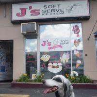 J's Soft Serve ico