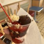 Dairy Queen (Treat)