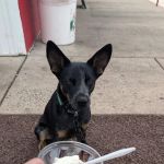 Rita's Italian Ice & Frozen Custard