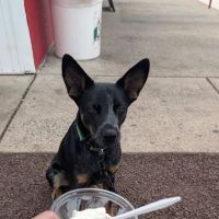 Rita's Italian Ice & Frozen Custard ico