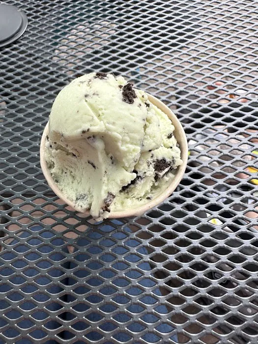 Sandy's Scoops Picture 3