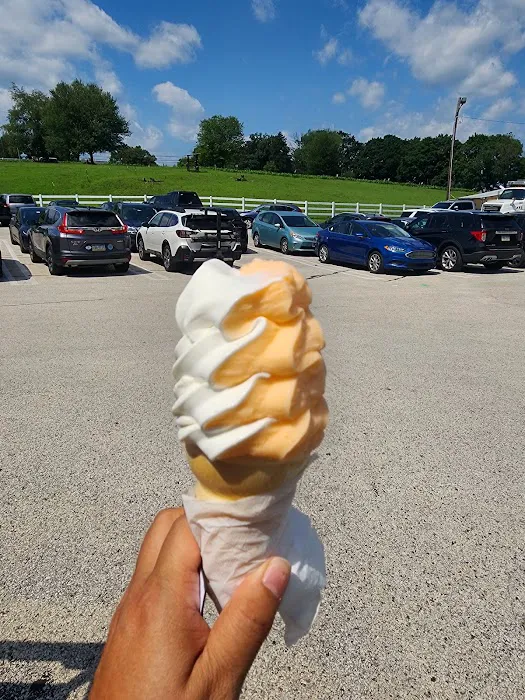 Petrucci's Catering & Ice Cream Picture 2