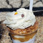 Frosty Falls Ice Cream