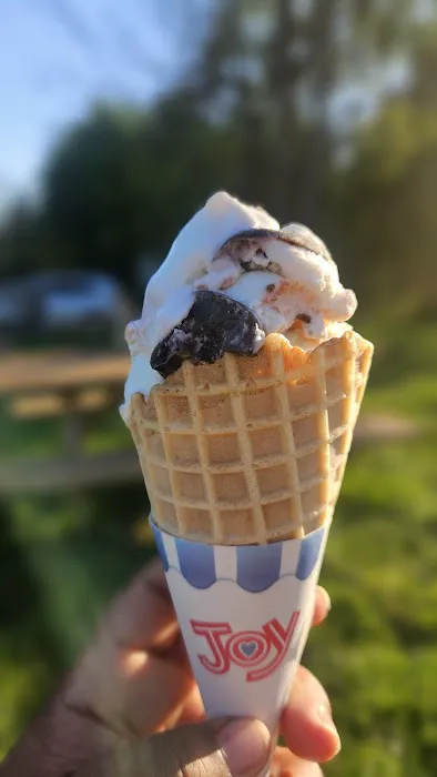 Joe's Water Ice & Ice Cream Picture 3