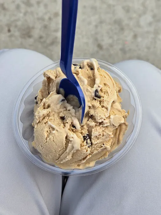 Handel's Homemade Ice Cream & Yogurt Picture 1