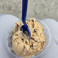 Handel's Homemade Ice Cream & Yogurt ico