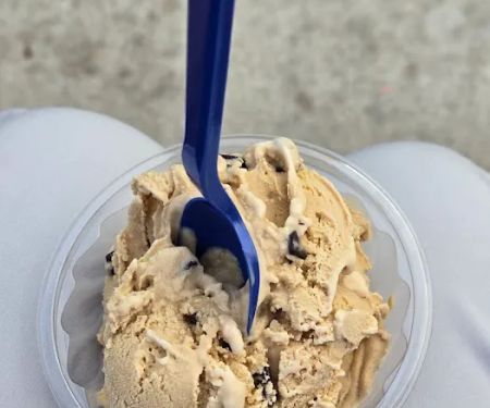 Handel's Homemade Ice Cream & Yogurt