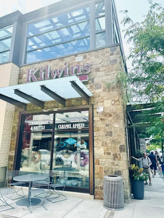 Kilwins Ice Cream - Chocolate - Fudge Picture 2