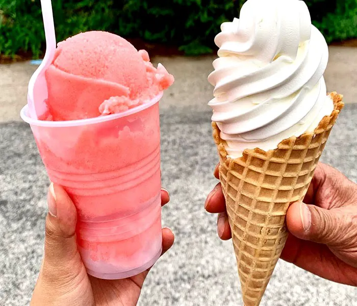 Capri Homemade Italian Ice Picture 5