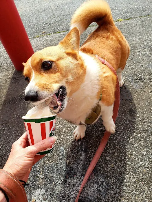 Rita's Italian Ice & Frozen Custard Picture 4