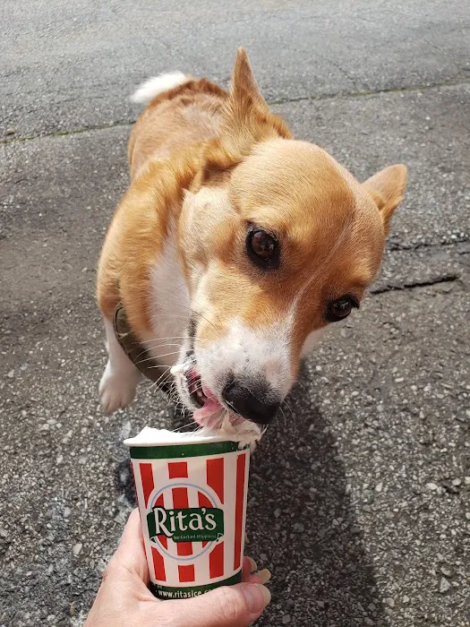 Rita's Italian Ice & Frozen Custard Picture 3