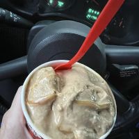Bruster's Real Ice Cream ico