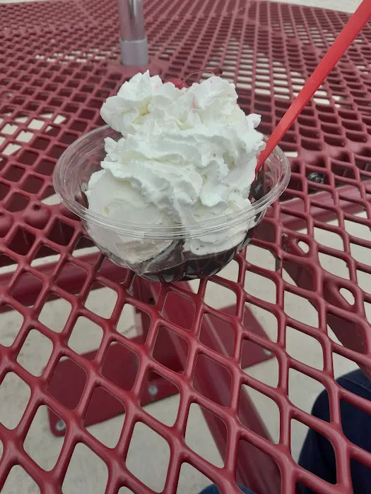 Bruster's Real Ice Cream Picture 4
