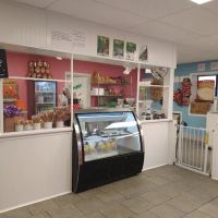 THE FAMILY ICE CREAM ico