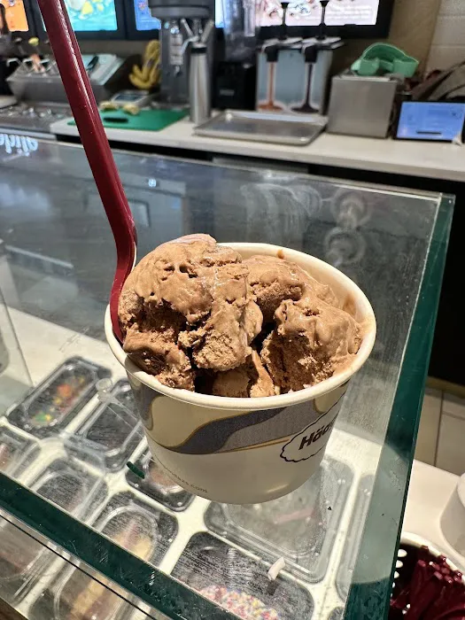 Haagen-Dazs Christiana Mall Picture 10