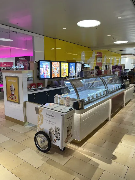 Haagen-Dazs Christiana Mall Picture 8