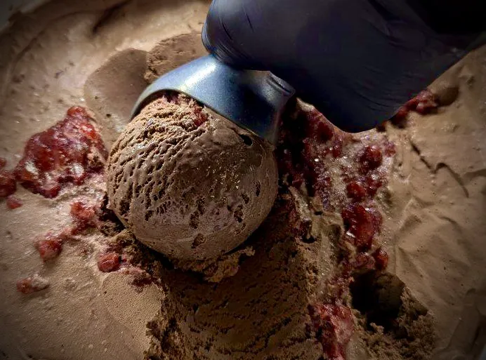 True Vine Ice Cream Shoppe Picture 3