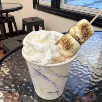 True Vine Ice Cream Shoppe ico