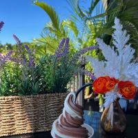 Ice Cream Inc. ico