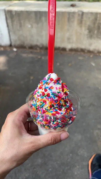 Dairy Queen (Treat) Picture 4