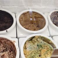 Mendham Creamery ico