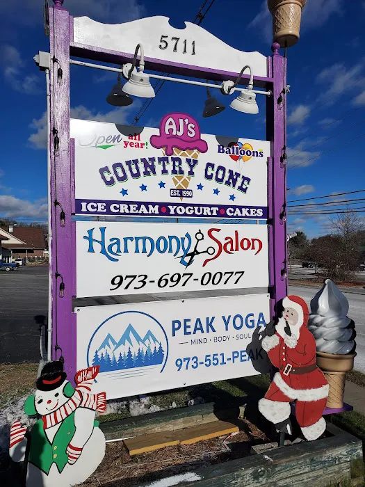 AJ's Country Cone Picture 10