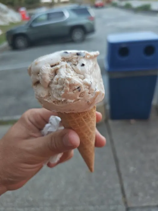Dairy Swirl Picture 1