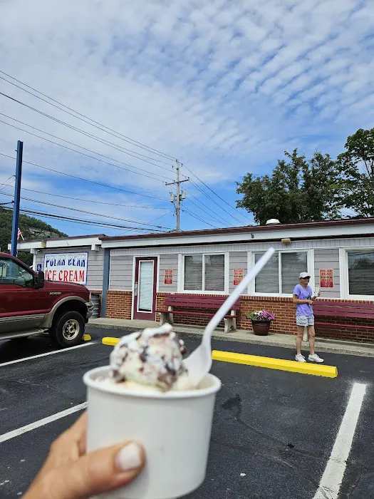 Polar Bear Ice Cream Picture 5