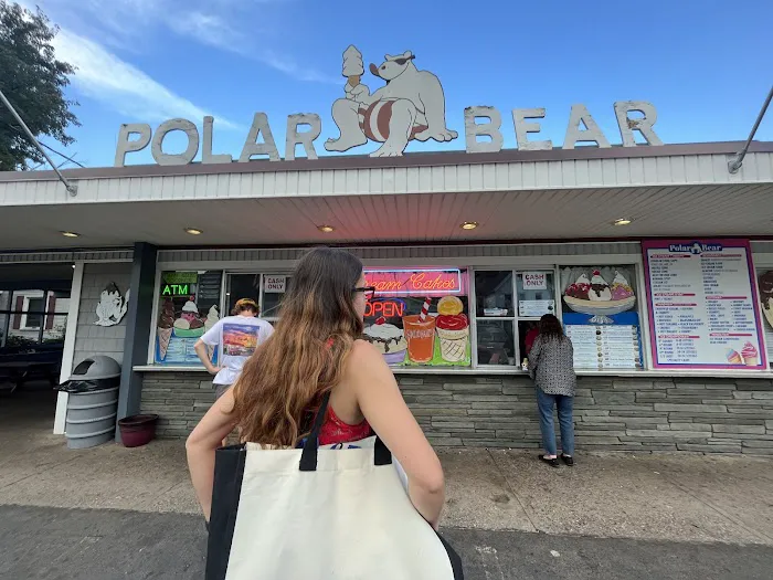 Polar Bear Ice Cream Picture 4