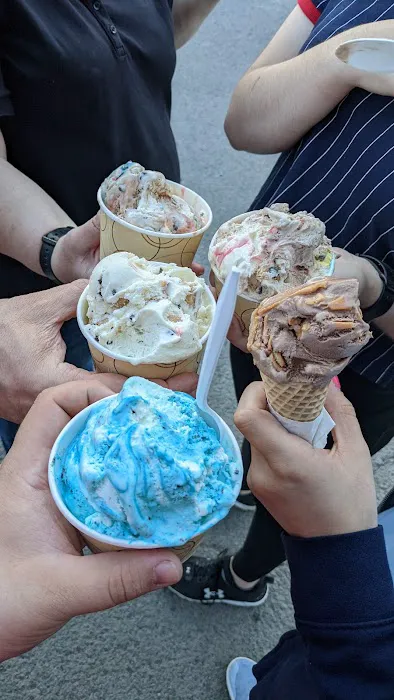 Polar Bear Ice Cream Picture 8