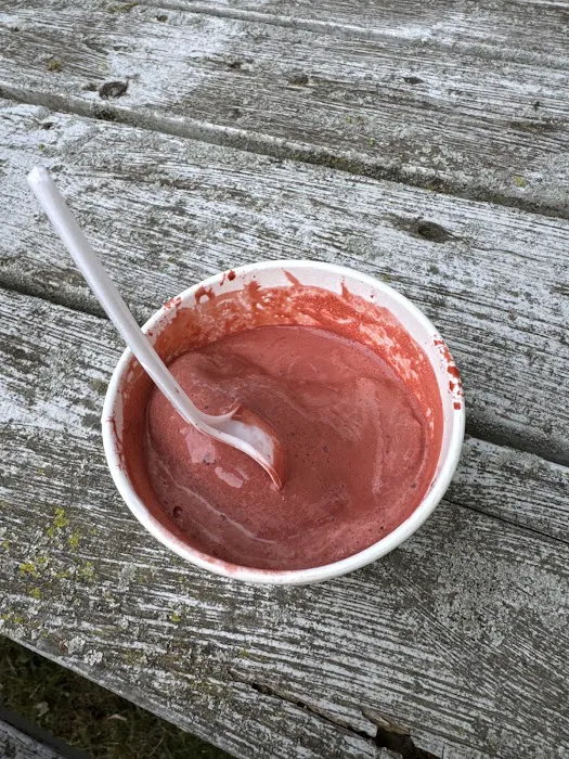 Trolley Ice Cream Picture 9
