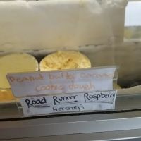 Trolley Ice Cream ico