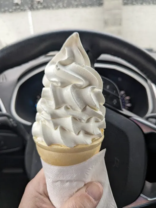 CONEHEADS NORTH ICE CREAM Picture 3