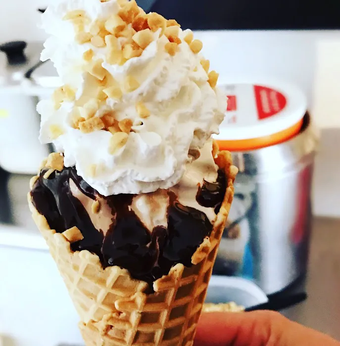 CONEHEADS NORTH ICE CREAM Picture 6